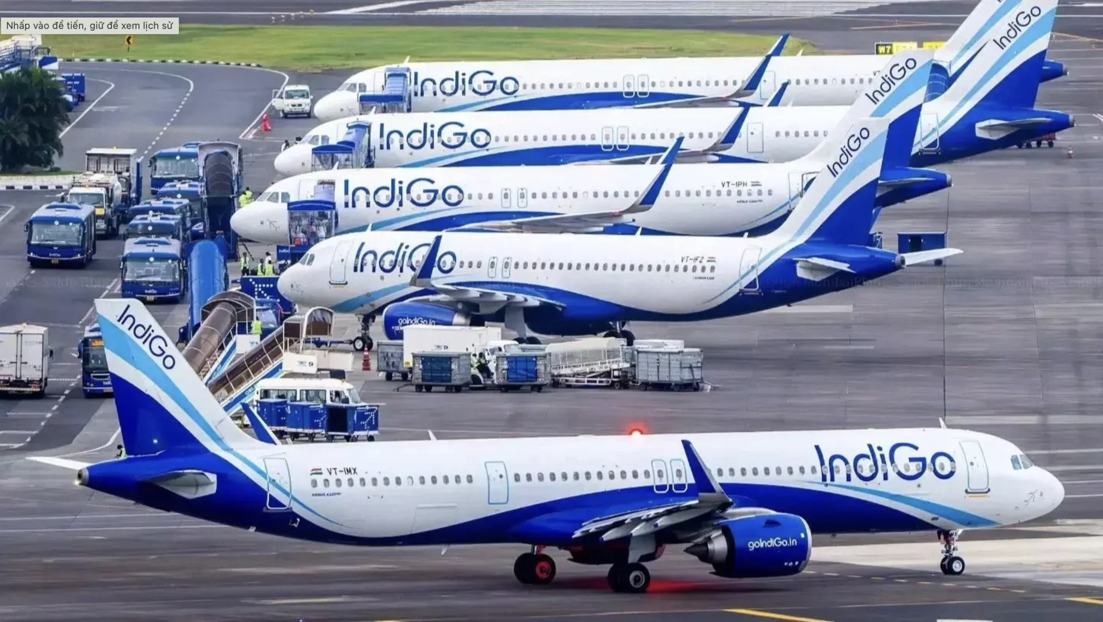 indigo